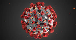Circular famílies Coronavirus