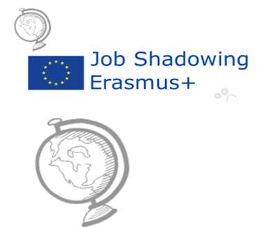 Job -Shadowing a Belgica